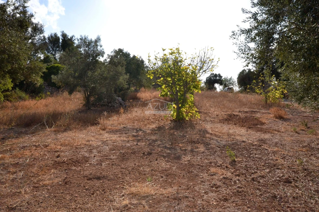 Terreno para Venda em Loule (São Clemente) Foto 9
