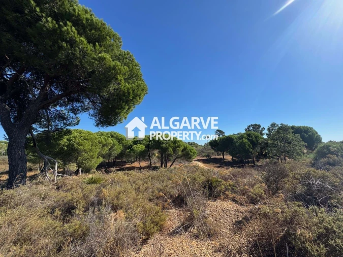 Terreno para Venda em Quarteira Foto 5