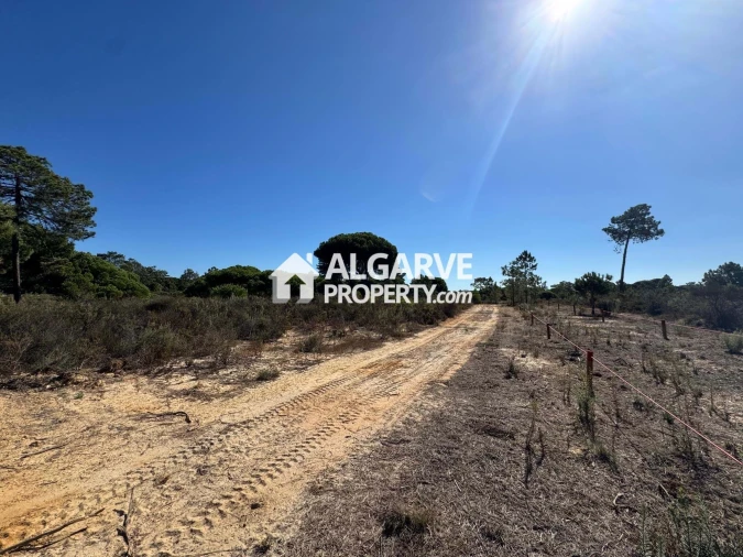 Terreno para Venda em Quarteira Foto 3