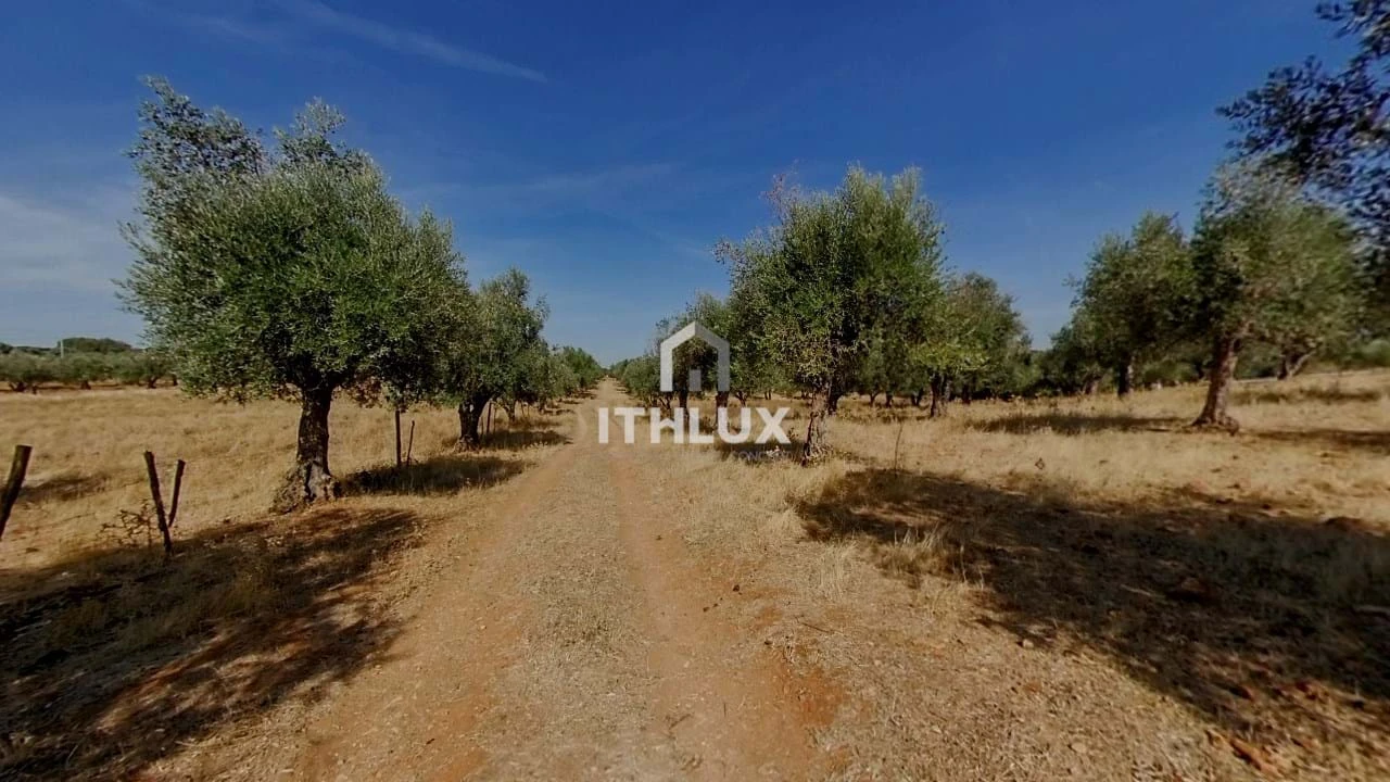Moradia T2 para Venda em São Bras e São Lourenço Foto 22