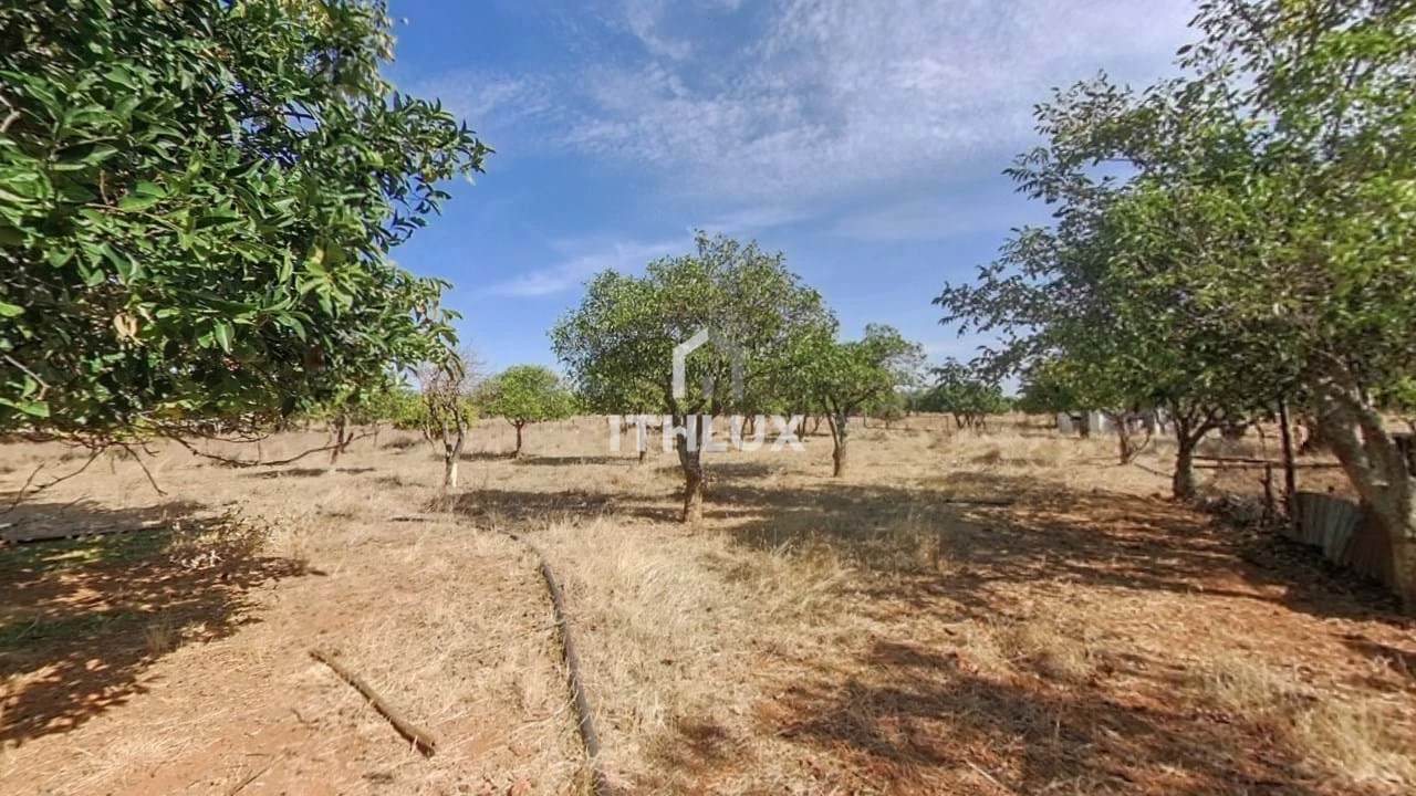 Moradia T2 para Venda em São Bras e São Lourenço Foto 18