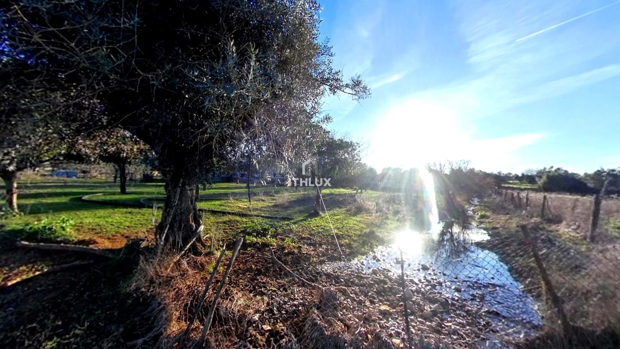 Moradia T2 para Venda em São Bras e São Lourenço Foto 1