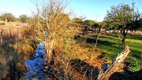 Moradia T2 para Venda em São Bras e São Lourenço