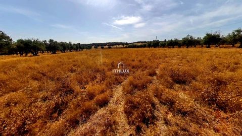 Moradia T2 para Venda em São Bras e São Lourenço