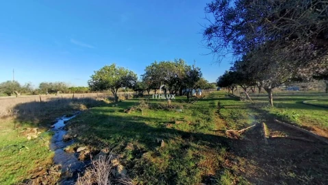 Moradia T2 para Venda em São Bras e São Lourenço