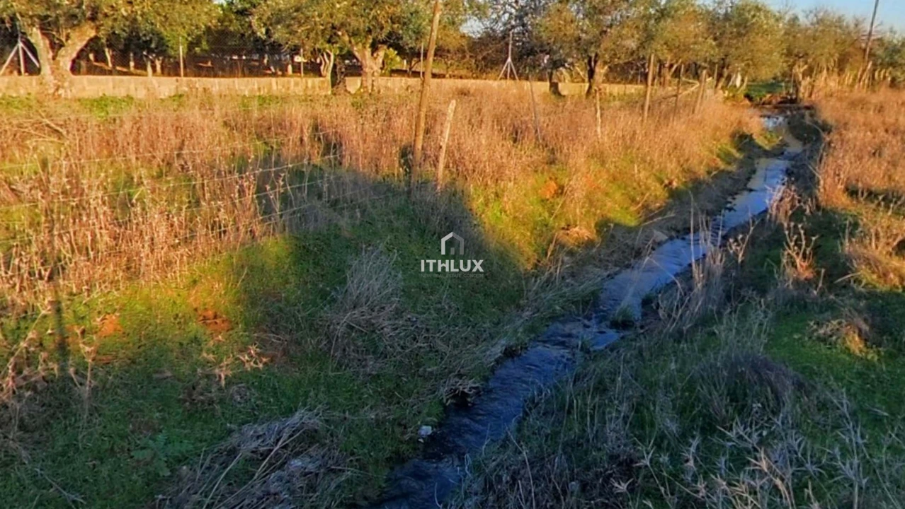 Moradia T2 para Venda em São Bras e São Lourenço Foto 38