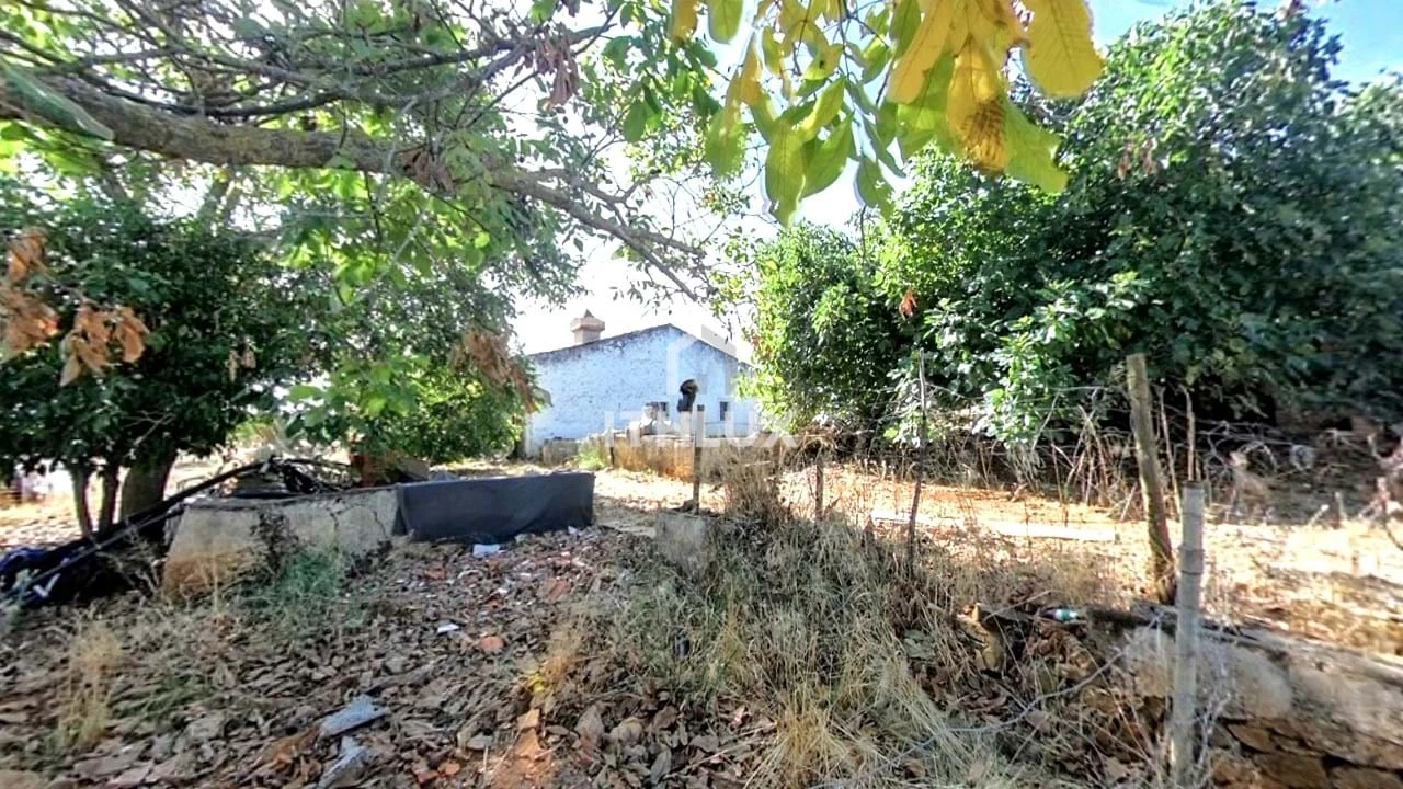 Moradia T2 para Venda em São Bras e São Lourenço Foto 15