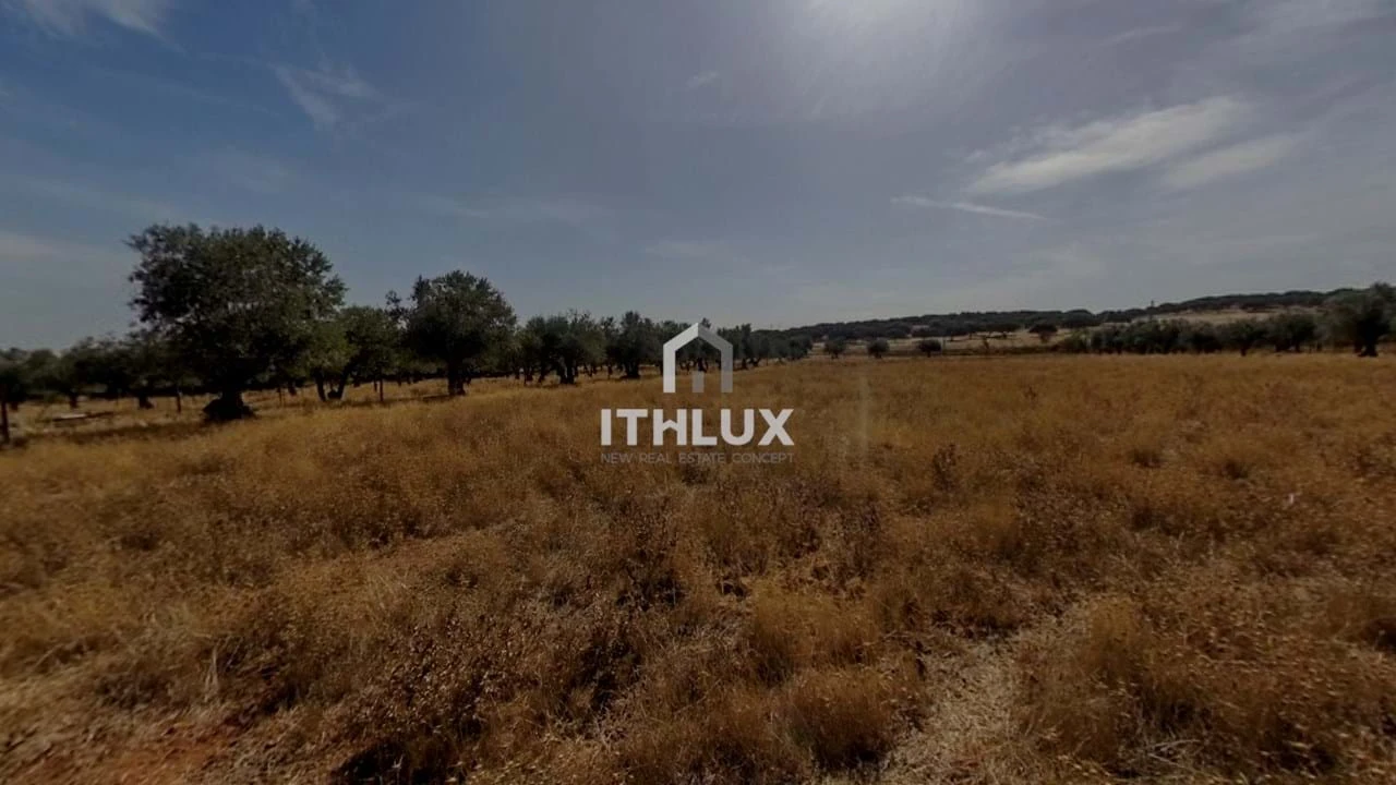 Moradia T2 para Venda em São Bras e São Lourenço Foto 9