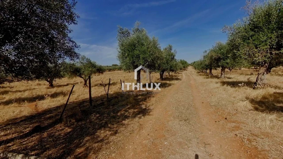 Moradia T2 para Venda em São Bras e São Lourenço Foto 24
