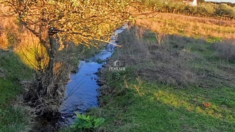 Moradia T2 para Venda em São Bras e São Lourenço Foto 8