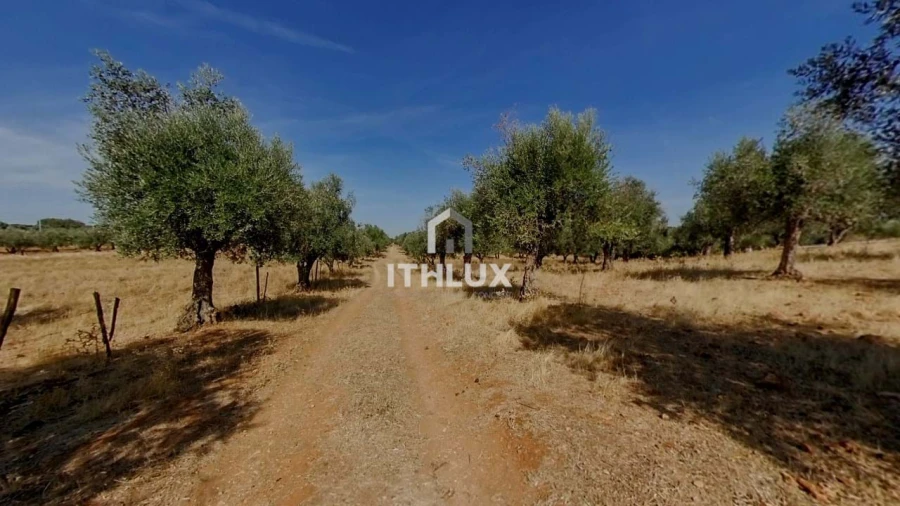 Moradia T2 para Venda em São Bras e São Lourenço Foto 10