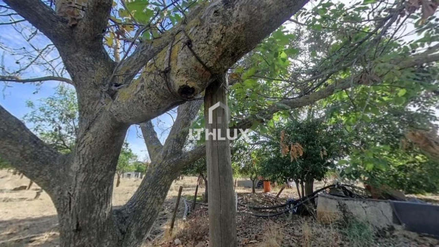 Moradia T2 para Venda em São Bras e São Lourenço Foto 33