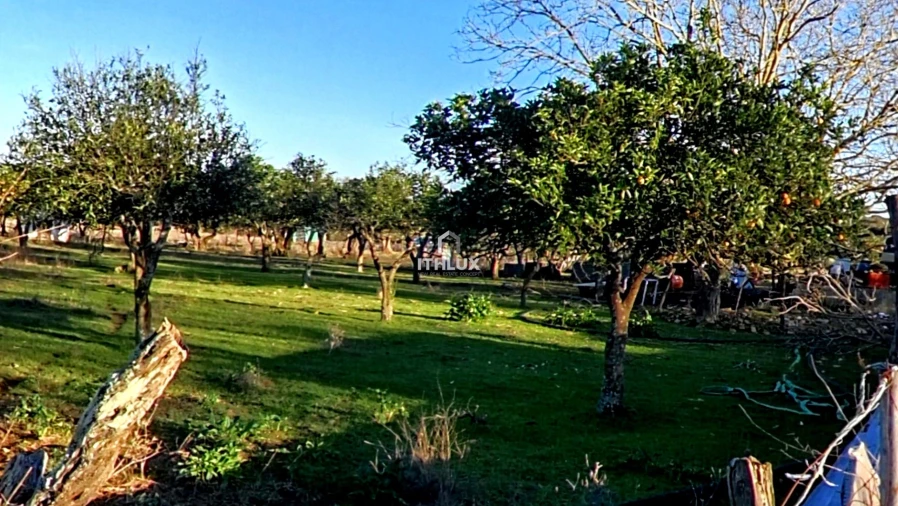 Moradia T2 para Venda em São Bras e São Lourenço Foto 2