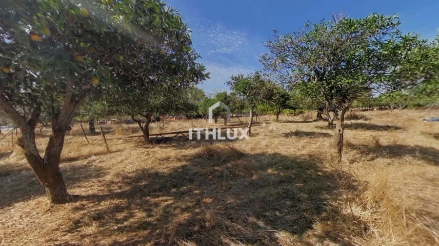 Moradia T2 para Venda em São Bras e São Lourenço Foto 18