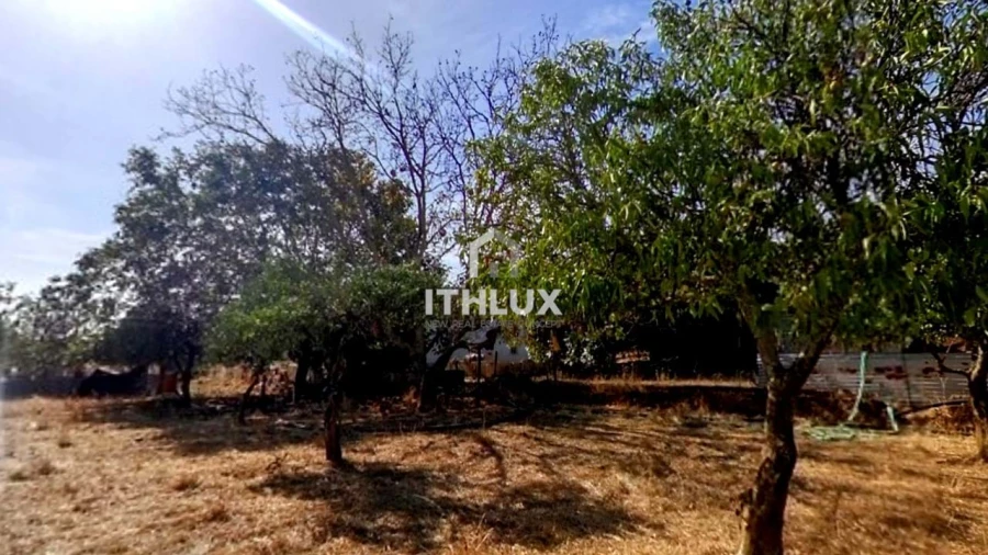 Moradia T2 para Venda em São Bras e São Lourenço Foto 7