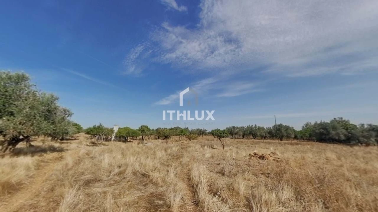 Moradia T2 para Venda em São Bras e São Lourenço Foto 14