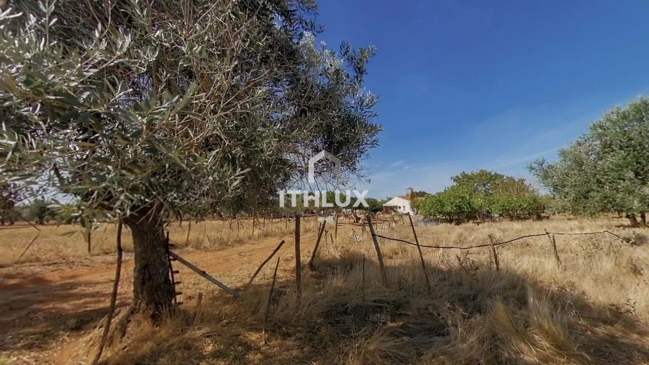 Moradia T2 para Venda em São Bras e São Lourenço Foto 24