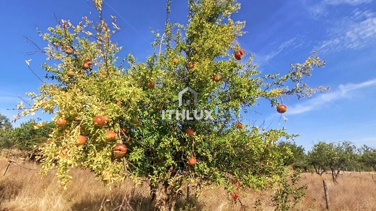 Moradia T2 para Venda em São Bras e São Lourenço Foto 26