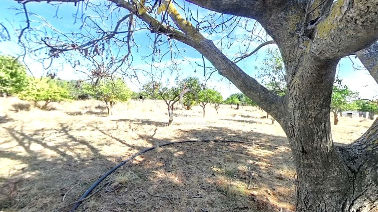 Moradia T2 para Venda em São Bras e São Lourenço Foto 5