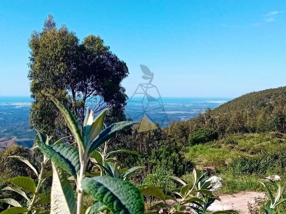 Quinta T2 para Venda em Monchique Foto 37