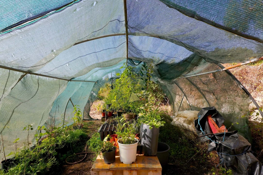 Quinta T2 para Venda em Monchique Foto 52