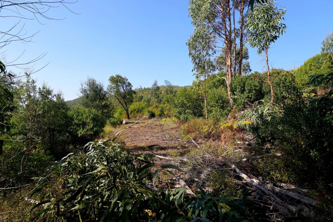 Quinta T2 para Venda em Monchique Foto 49