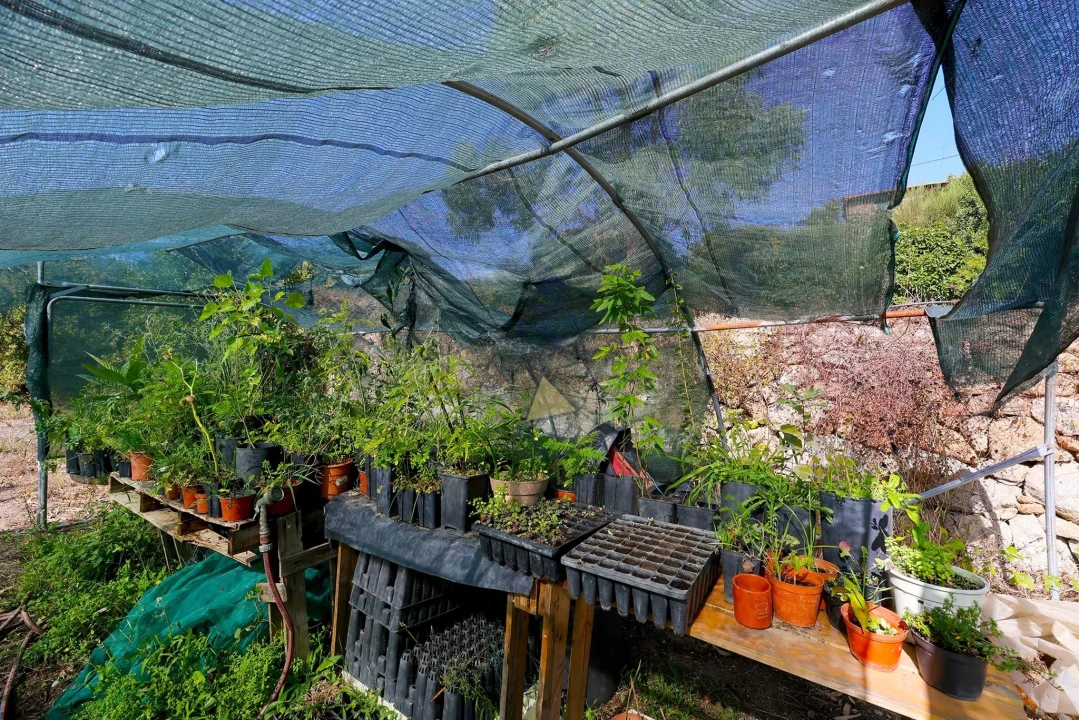 Quinta T2 para Venda em Monchique Foto 53