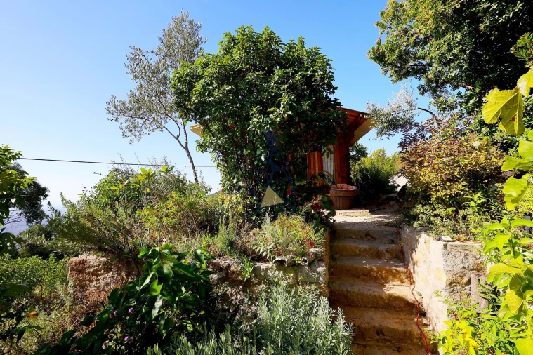 Quinta T2 para Venda em Monchique Foto 33