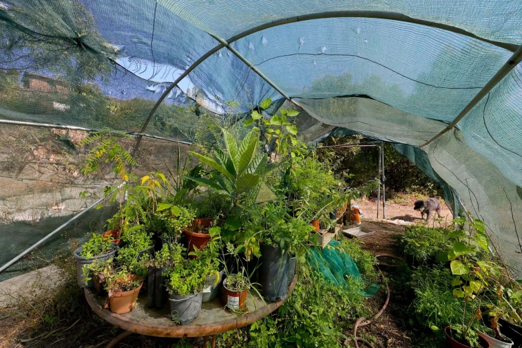 Quinta T2 para Venda em Monchique Foto 54