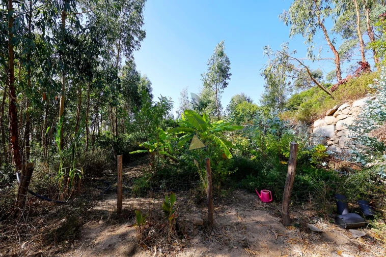 Quinta T2 para Venda em Monchique Foto 46