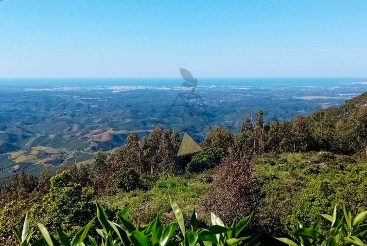 Quinta T2 para Venda em Monchique Foto 39