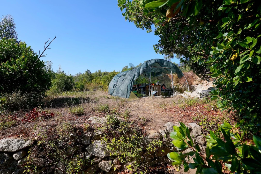 Quinta T2 para Venda em Monchique Foto 51