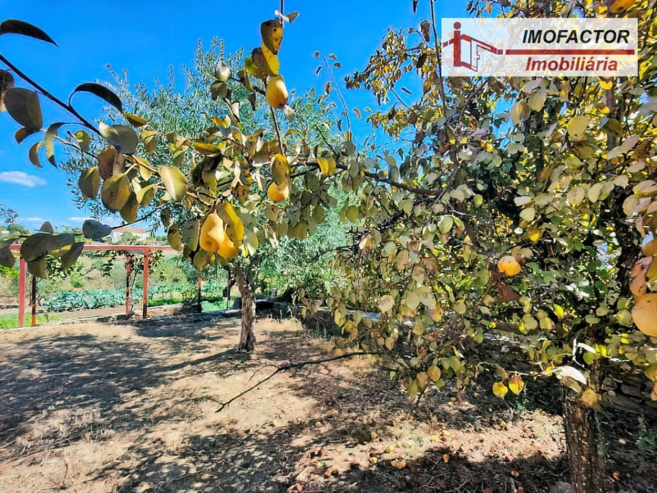 Moradia T5 para Venda em Santo Andre das Tojeiras Foto 11