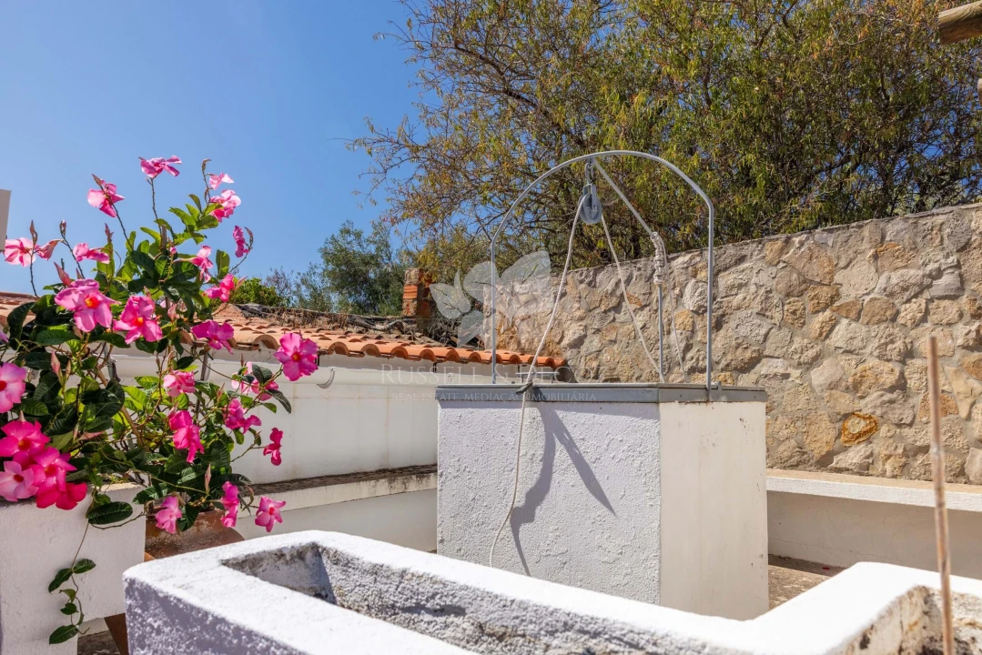 Quinta T4 para Venda em São Brás de Alportel Foto 12