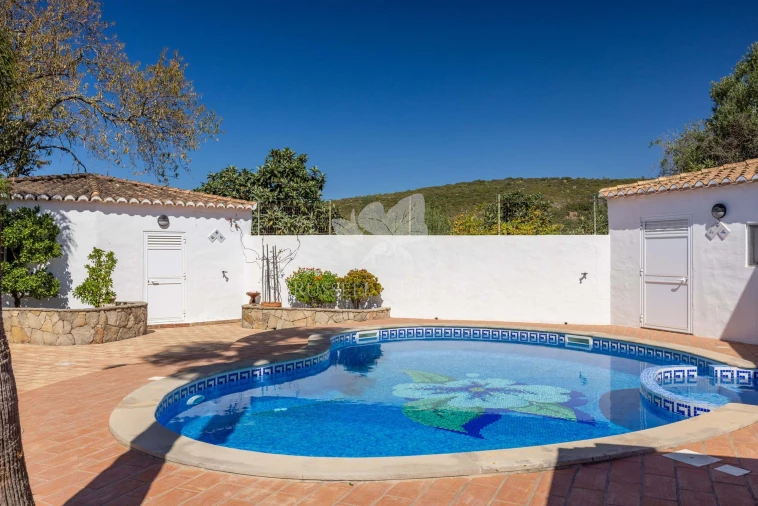 Quinta T4 para Venda em São Brás de Alportel Foto 41