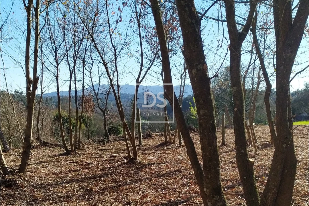 Moradia para Venda em Carvalhais e Candal Foto 7