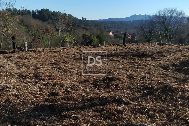 Moradia para Venda em Carvalhais e Candal Foto 5