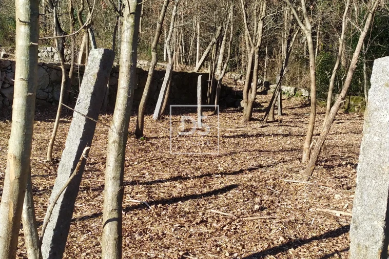 Moradia para Venda em Carvalhais e Candal Foto 6