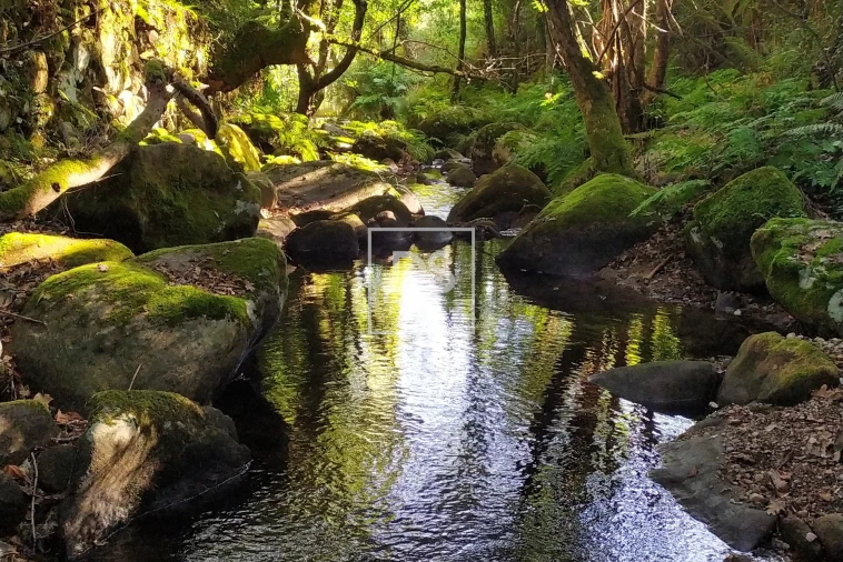 Moradia para Venda em Carvalhais e Candal Foto 9