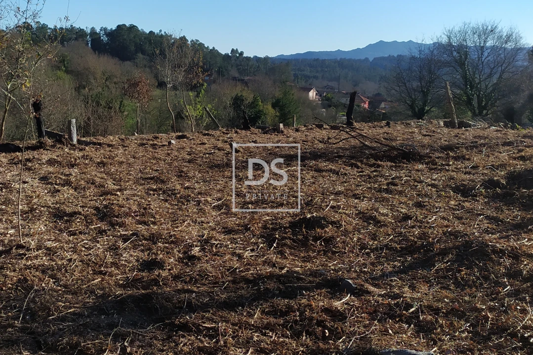 Moradia para Venda em Carvalhais e Candal Foto 5