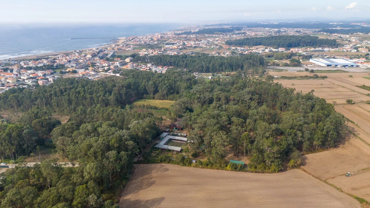Quinta T4 para Venda em Matosinhos e Leça da Palmeira Foto 1