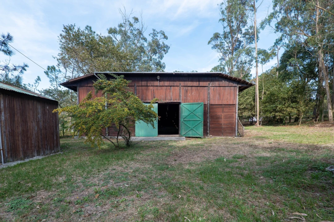 Quinta T4 para Venda em Matosinhos e Leça da Palmeira Foto 23