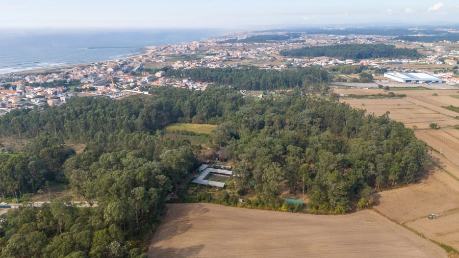 Quinta T4 para Venda em Matosinhos e Leça da Palmeira