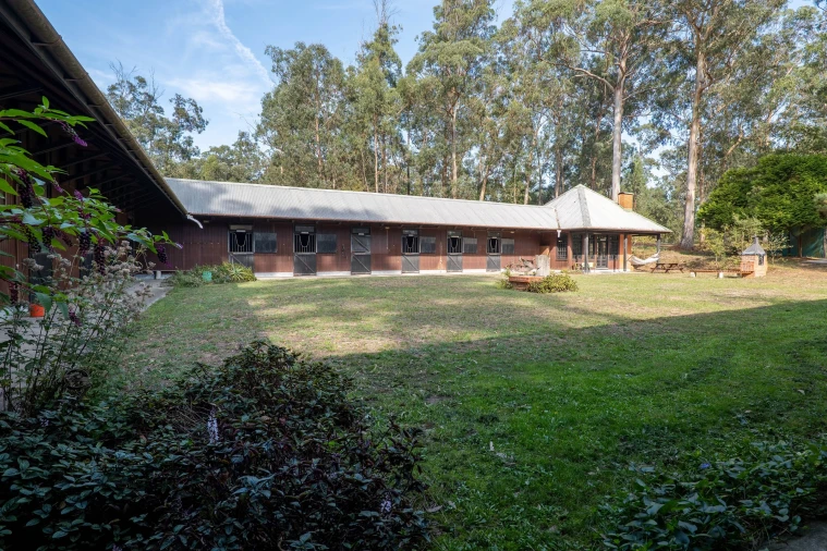 Quinta T4 para Venda em Matosinhos e Leça da Palmeira Foto 15