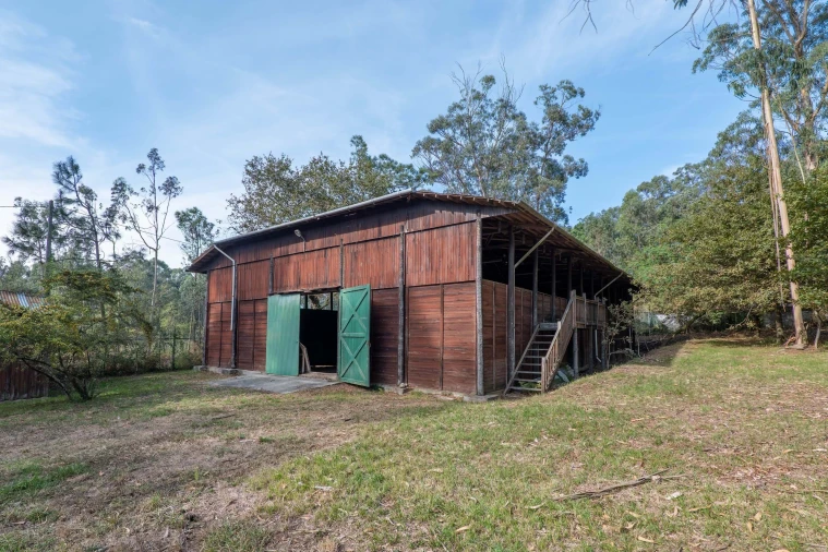 Quinta T4 para Venda em Matosinhos e Leça da Palmeira Foto 21