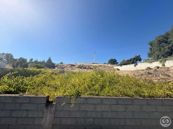 Terreno para Venda em Seixo de Manhoses Foto 6