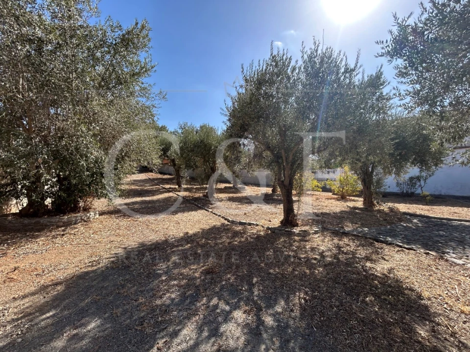 Quinta T3 para Venda em Garvão e Santa Luzia Foto 31