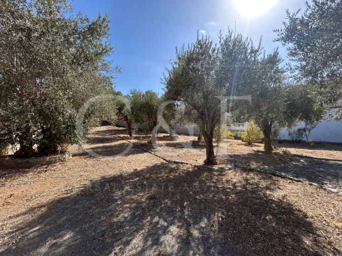 Quinta T3 para Venda em Garvão e Santa Luzia Foto 31