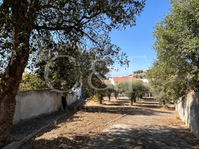 Quinta T3 para Venda em Garvão e Santa Luzia Foto 35