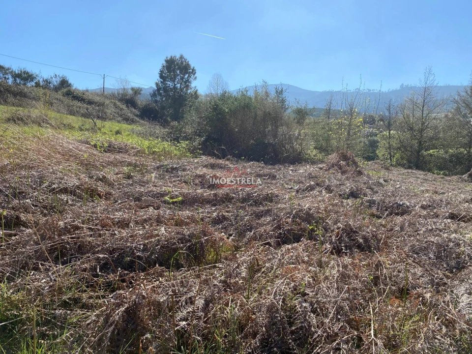 Terreno para Venda em Santa Marinha e São Martinho Foto 3